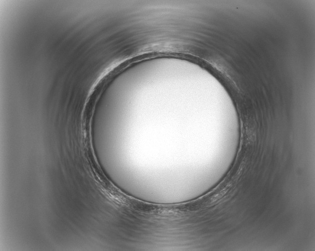 X0000056001070200509162312