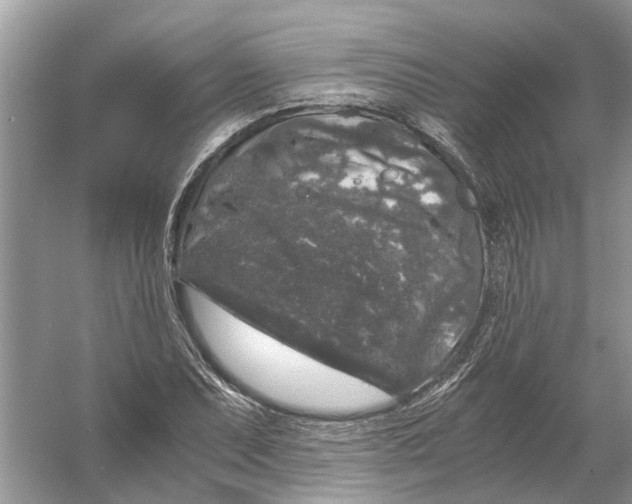 X0000056001071200509162312