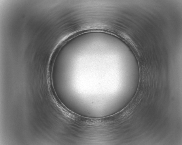 X0000056001072200509162312