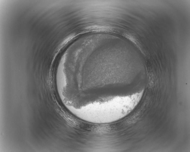 X0000056001074200509162312