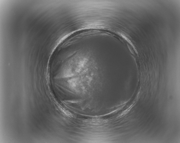 X0000056001077200509162311