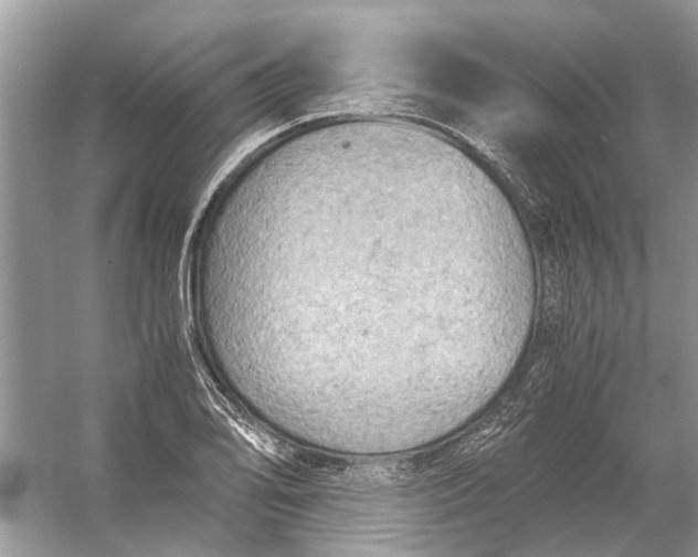 X0000056001078200509162311