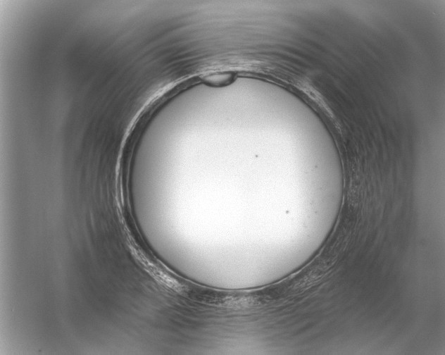 X0000056001080200509162311