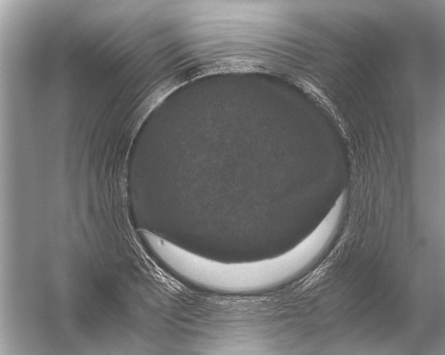 X0000056001081200509162311