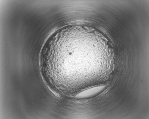 X0000056001083200509162311