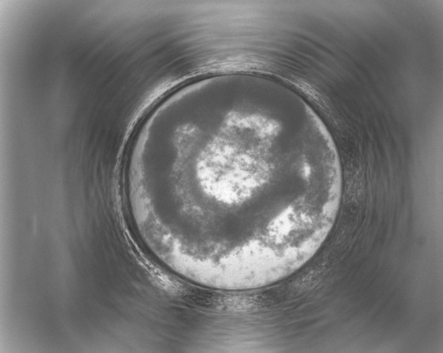 X0000056001086200509162311