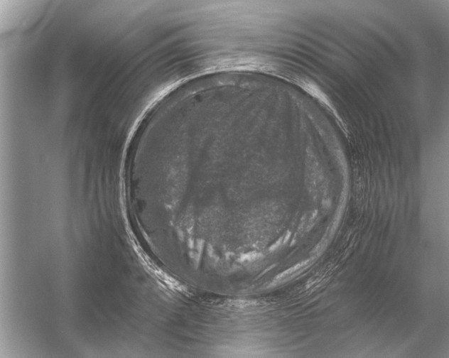 X0000056001088200509162311