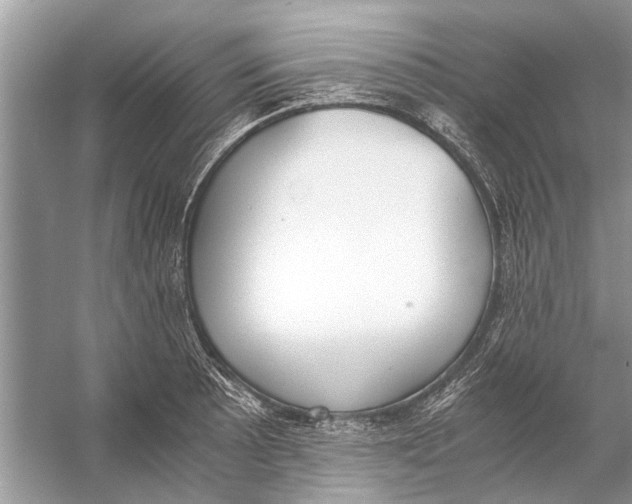 X0000056001089200509162311