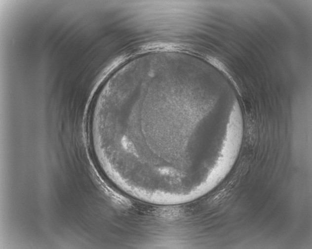 X0000056001090200509162311