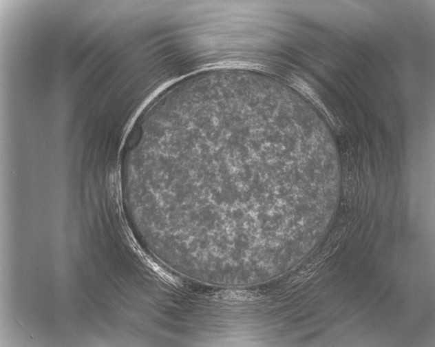 X0000056001092200509162311