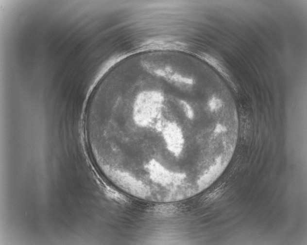 X0000056001094200509162311