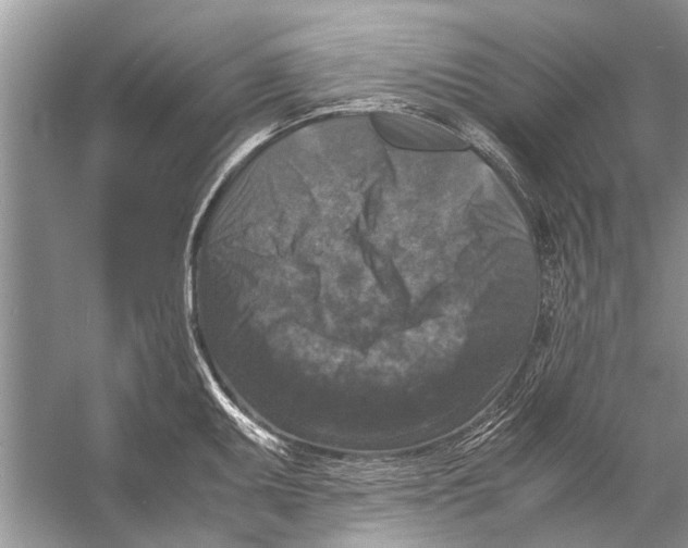 X0000056001095200509162311