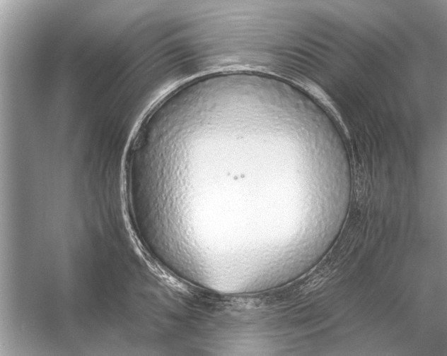 X0000056001096200509162311