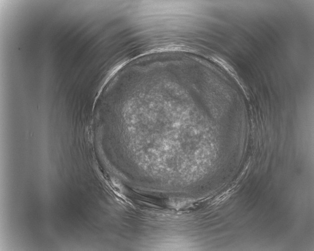 X0000056001097200509162311