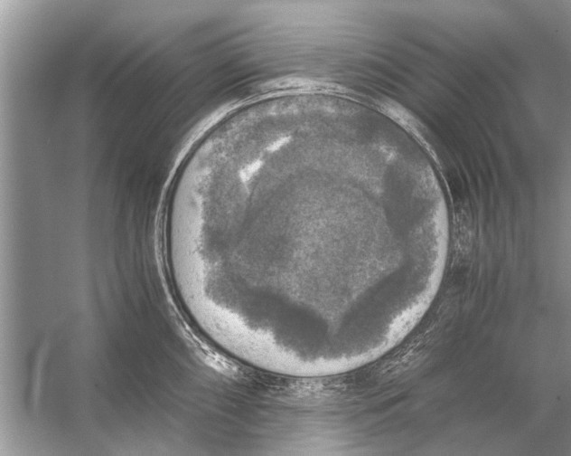 X0000056001098200509162311