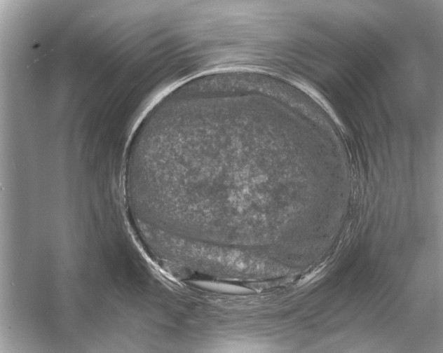 X0000056001101200509162311