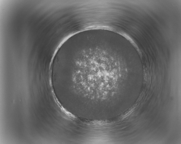 X0000056001102200509162311