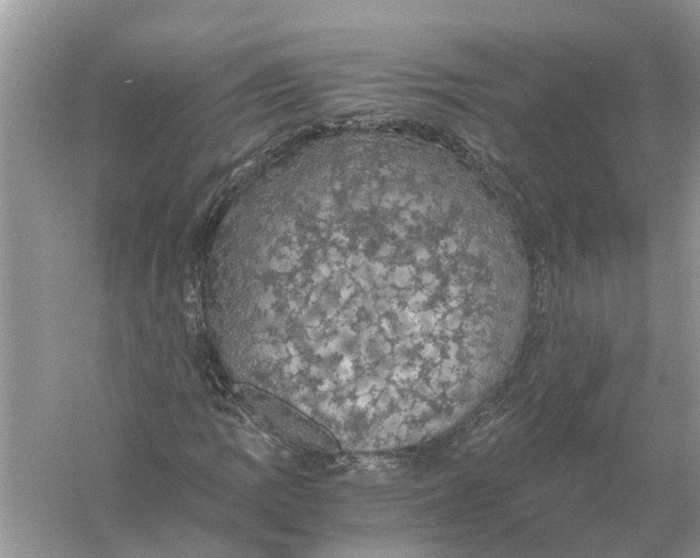 X0000056001109200509162310