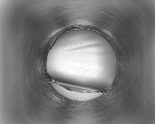 X0000056001112200509162310