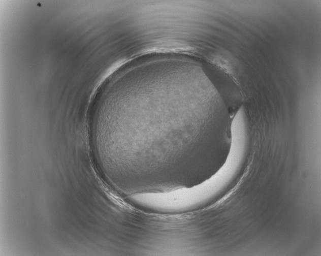 X0000056001114200509162310