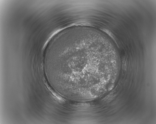 X0000056001115200509162310