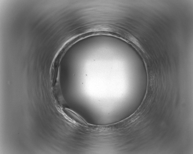 X0000056001116200509162310