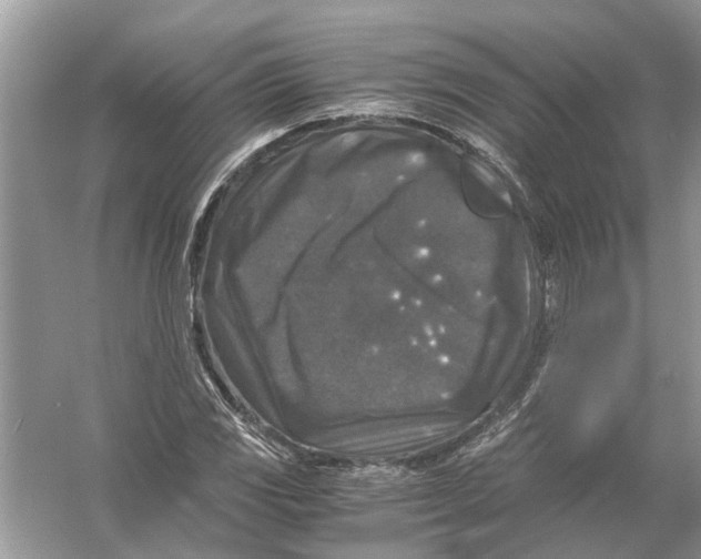 X0000056001117200509162310