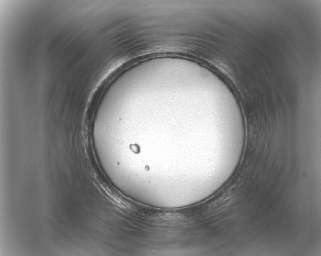 X0000056001119200509162310