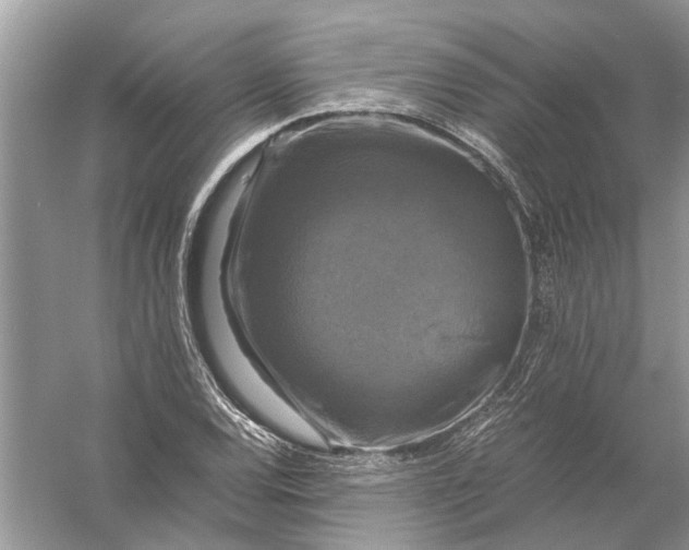 X0000056001120200509162310