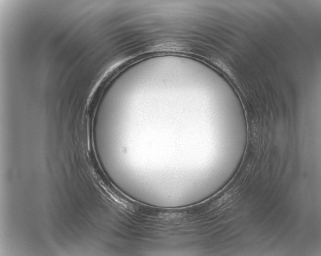 X0000056001123200509162310