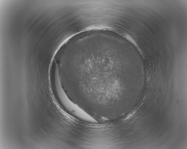 X0000056001124200509162310