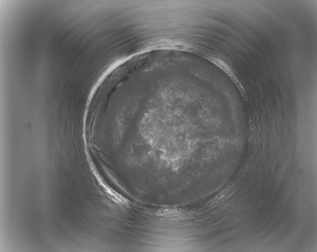 X0000056001128200509162311