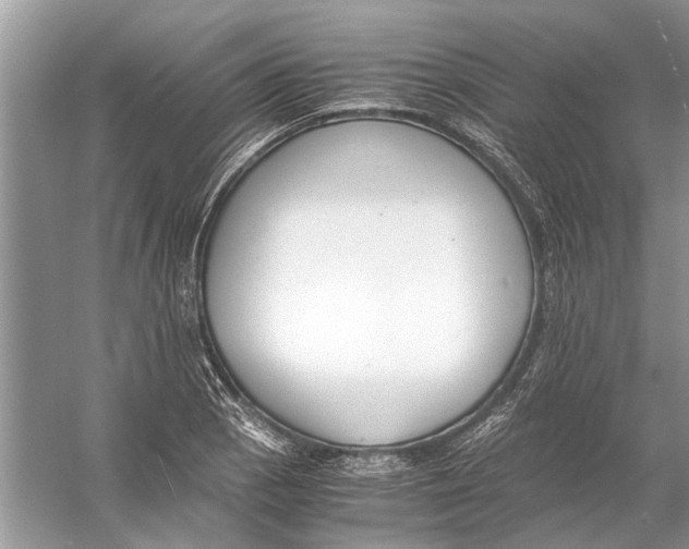 X0000056001129200509162311