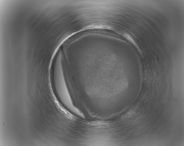 X0000056001132200509162311