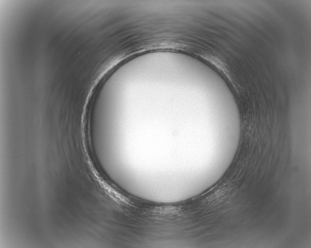 X0000056001135200509162311