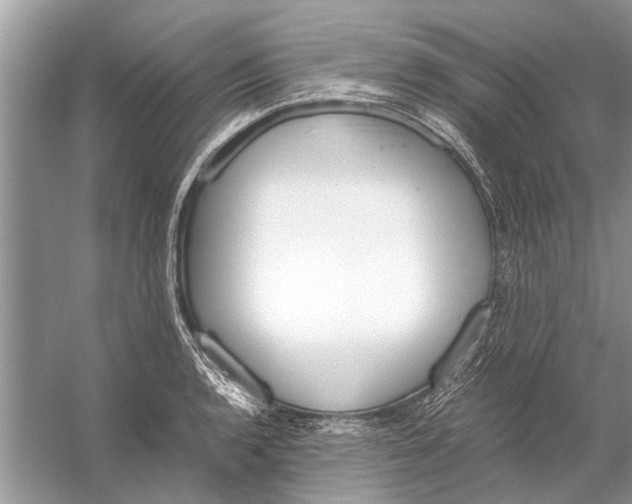 X0000056001136200509162311