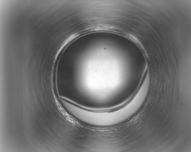 X0000056001138200509162311