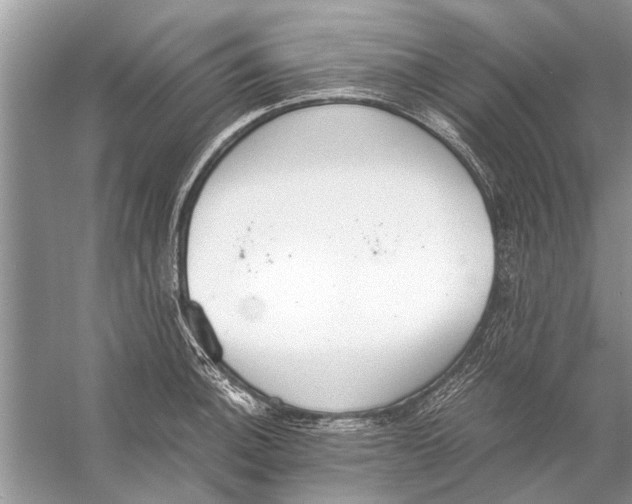 X0000056001140200509162311