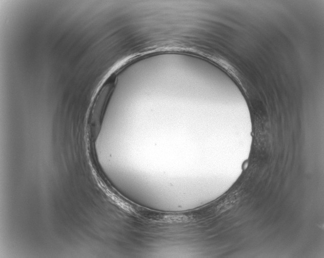 X0000056001142200509162311