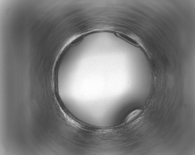 X0000056001143200509162311