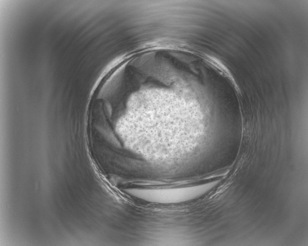 X0000056001146200509162311