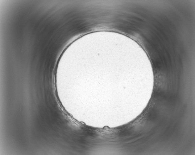 X0000056001150200509162311