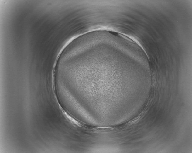 X0000056001151200509162311