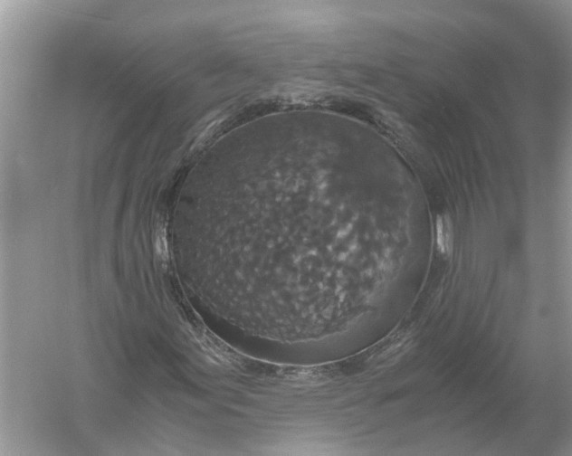 X0000056001155200509162310