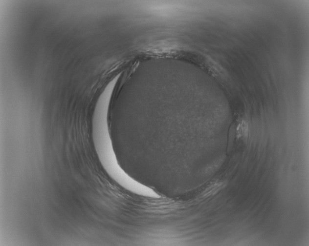 X0000056001156200509162310