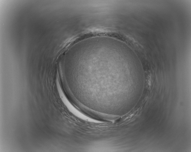 X0000056001157200509162310