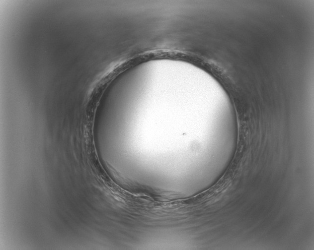 X0000056001159200509162310