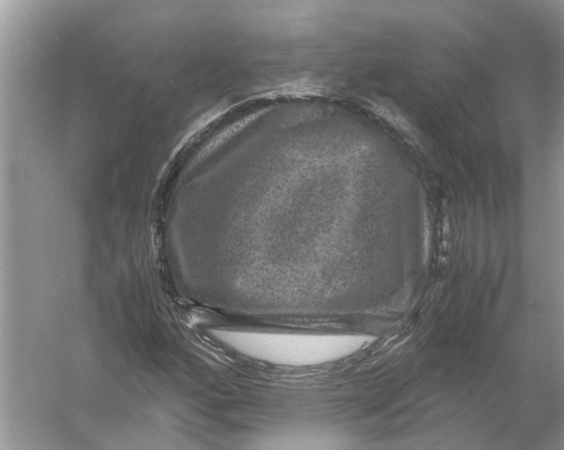 X0000056001160200509162310