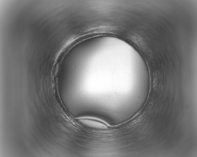 X0000056001164200509162310