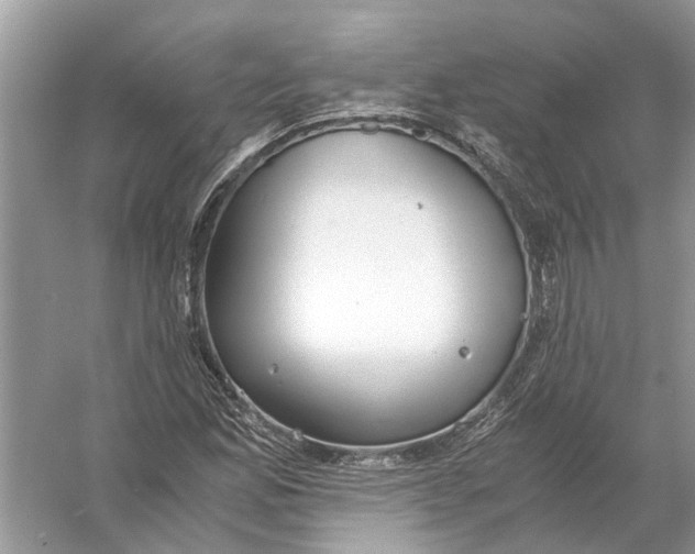 X0000056001165200509162310